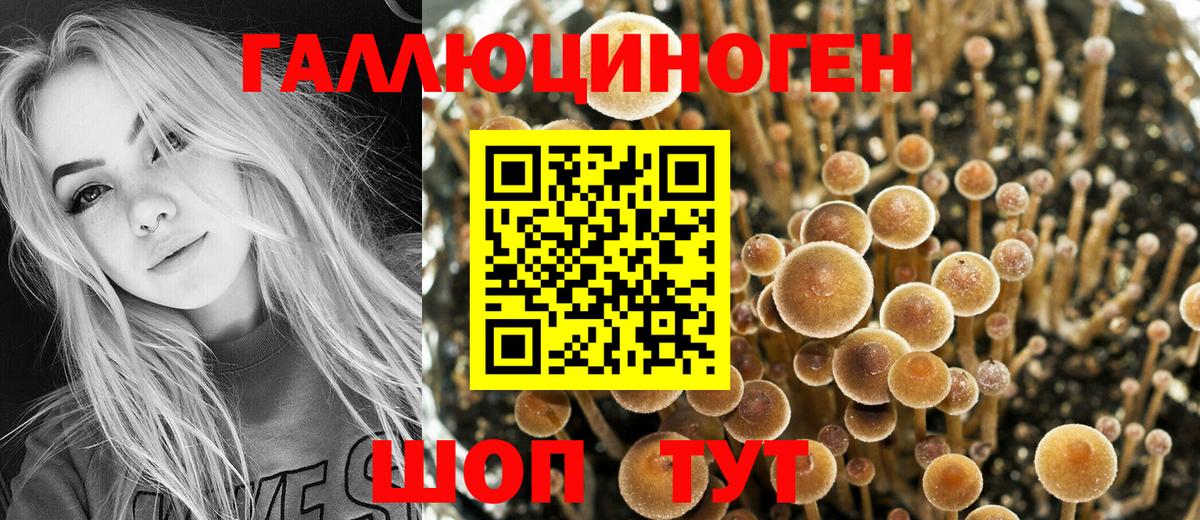 Галлюциногенные грибы MAGIC MUSHROOMS Минусинск