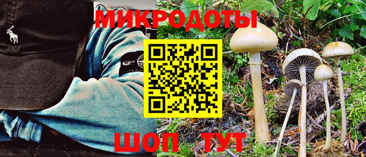 Псилоцибиновые грибы MAGIC MUSHROOMS  Вход с VPN  Галлюциногенные грибы MAGIC MUSHROOMS  Минусинск 